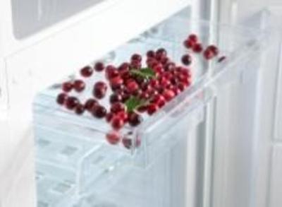 Snaige RF36SM Refrigerator
