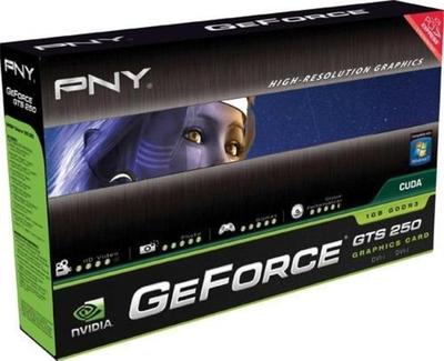 PNY XLR8 GeForce GTS 250 Tarjeta grafica