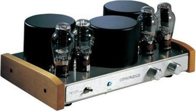 Opera-Consonance M100S Plus Audio Amplifier