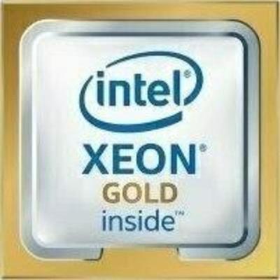 Dell Intel Xeon Gold 5115 Procesor