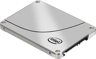 Intel SSDSC2BB120G401 SSD-Festplatte