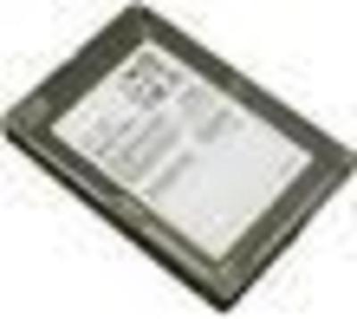 Cisco UCS-SD300G0KA2-T= SSD-Festplatte