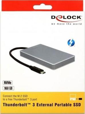 DeLock 54061 SSD-Festplatte