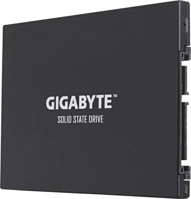 Gigabyte GP-GSTFS30256GTTD SSD-Festplatte