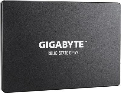 Gigabyte GP-GSTFS31256GTND SSD