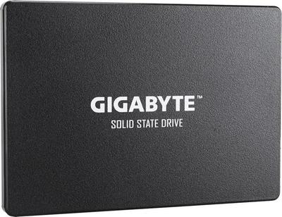 Gigabyte GP-GSTFS31100TNTD SSD