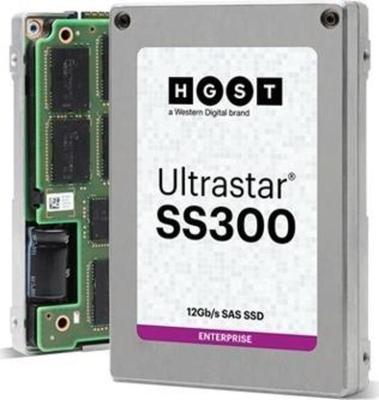 WD Ultrastar SS300 HUSMR3216ASS200