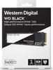 WD Black NVMe SSD WDS100T2X0C 