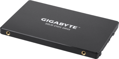 Gigabyte GP-GSTFS31480GNTD SSD-Festplatte