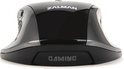 Zalman ZM-GM1