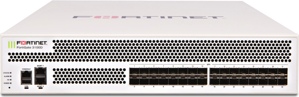 Fortinet 3100D 