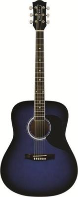 Eko Guitars Ranger 6 EQ Acoustic Guitar