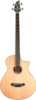Breedlove Acoustic Bass 