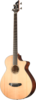 Breedlove Acoustic Bass 
