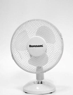 Ravanson WT-1023 Fan