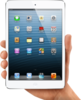 Apple iPad Mini front