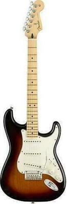 Fender Player Stratocaster Maple E-Gitarre