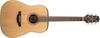 Takamine GD20 front