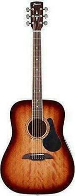Framus FD-14M Acoustic Guitar