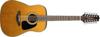 Takamine GD30-12 front