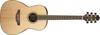 Takamine GY93 front