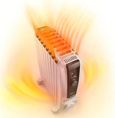 DeLonghi TRDX40820E Heater