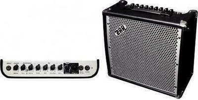 ZAR Audio E-20 DFX Guitar Amplifier