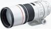 Canon EF 300mm f/4L IS USM angle