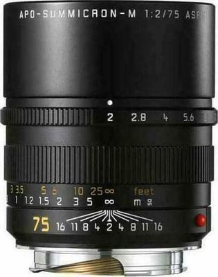Leica APO-Summicron-M 75mm f/2 ASPH Lente