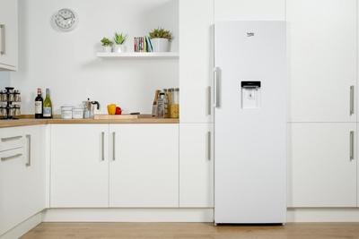 Beko LP1671DW Kühlschrank