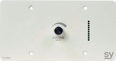 SY Electronics SY-1A-25W Audio Amplifier