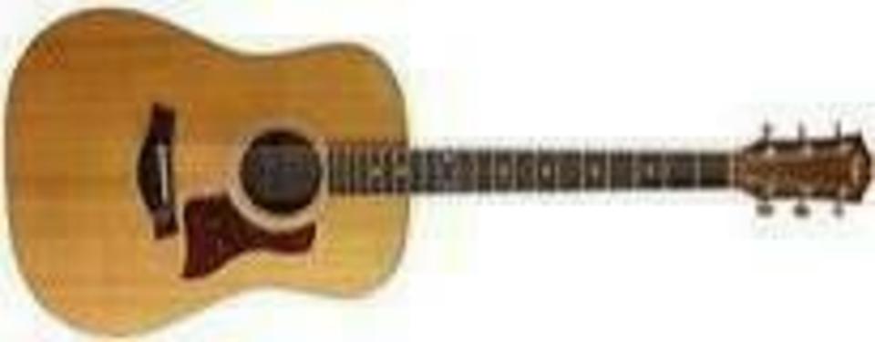 Taylor Guitars 310 front