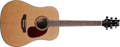 Ashton SPD25 Acoustic Guitar