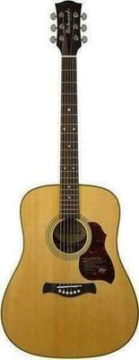 Richwood A-65-VA Gitara akustyczna