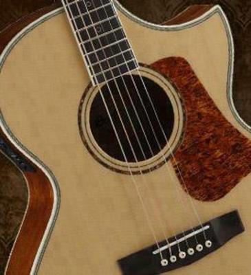 Cort NDX20 Acoustic Guitar
