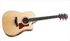 Taylor Guitars 410ce (CE) 