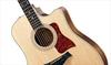 Taylor Guitars 410ce (CE) 