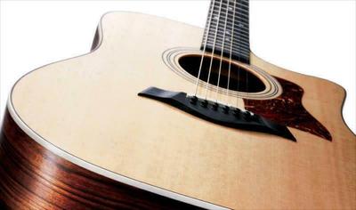 Taylor Guitars 410ce (CE) Akustikgitarre