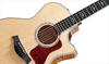 Taylor Guitars 614ce (CE) 