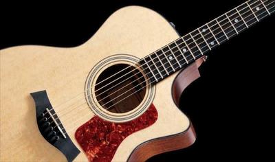 Taylor Guitars 314ce (CE) Gitara akustyczna