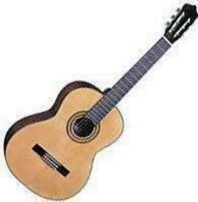 Santos Martinez SM80 Acoustic Guitar