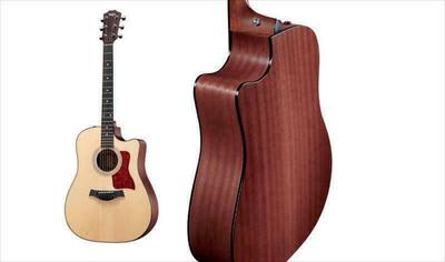 Taylor Guitars 310ce (CE) Gitara akustyczna