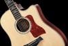 Taylor Guitars 810ce (CE) 