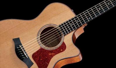 Taylor Guitars 514ce (CE) Acoustic Guitar