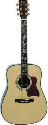 Dimavery STW-20 Acoustic Guitar