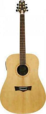 Peavey DW-3 Acoustic Guitar