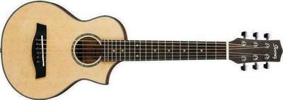 Ibanez EWP15LTD Acoustic Guitar