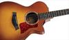 Taylor Guitars 512ce (CE) 