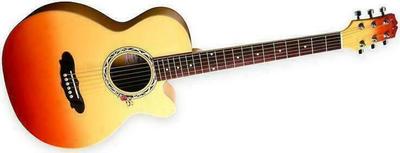 Gypsy Rose GRA1K Acoustic Guitar