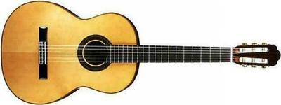Aria A-50 Acoustic Guitar